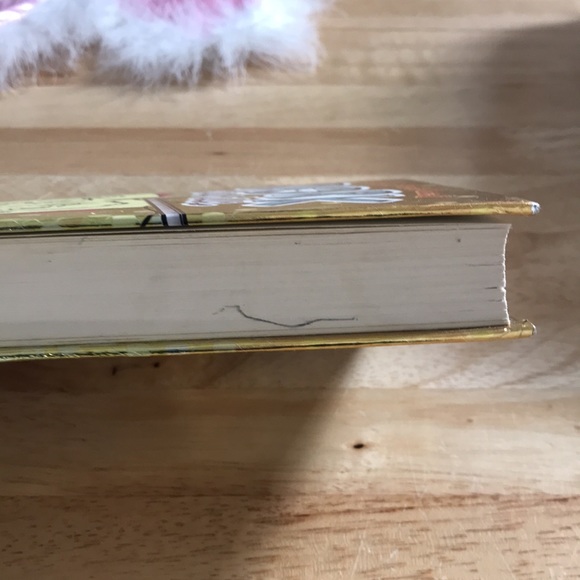 COPY - ☘️2 for $10 Sale☘️Dork Diaries #7 Tales from a Not-So-Glam Tv Star, ages… - Picture 9 of 15